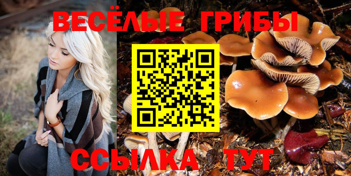 Нягань  Галлюциногенные грибы GOLDEN TEACHER  Вход с VPN 
