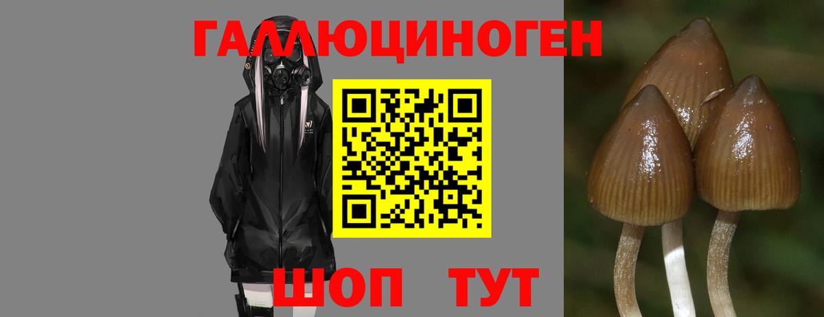 Псилоцибиновые грибы прущие грибы Нягань